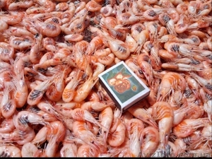 Продажа черноморской креветки #1632434