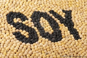 Продам сою 50 тонн #1631751