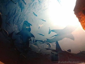 Натяжные потолки лучшего качества  #1635495