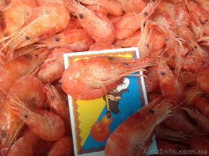 Черноморская креветка . #1639821