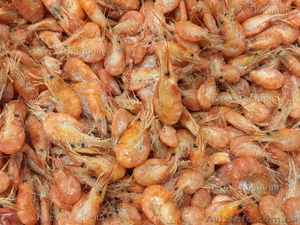 Креветка черноморская /черноморские гиганты. #1639830