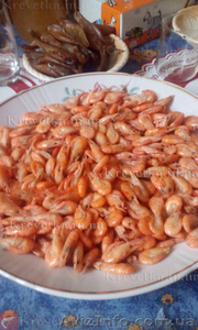 Креветка азовская и черноморская . #1639822