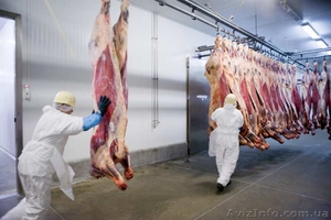 Требуются обвальщики на мясокомбинат,  Литва #1639391