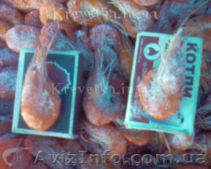 Креветка,  мидии,  краб,  рыба #1639825