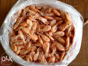 Креветка икряная  #1639826