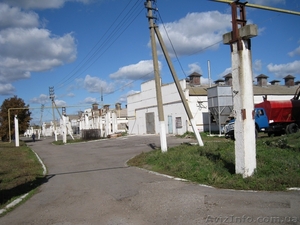 Продаем б. у. оборудование для  выращивания птицы #1635591