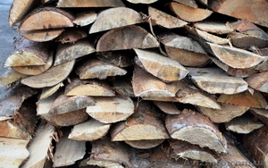 Отходы от пилорамы #1637323