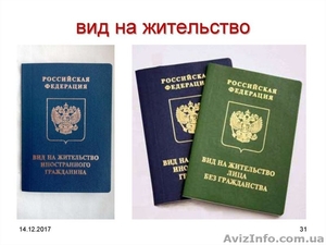 Миграционные услуги #1636975