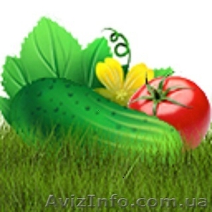 Продаем б. у. оборудование для теплиц #1640525