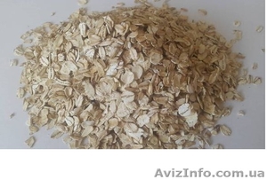 Овсяные хлопья,  овсянка,  овсяные хлопья пропаренные,  овсянка недорого. ОПТ #1641063