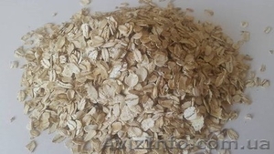 Овсяные хлопья,  овсянка оптом,  овсяные хлопья пропаренные,  овсянка недорого #1640345