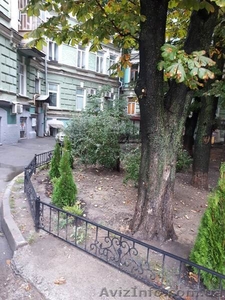 Сдам 2-комн. в центре. Михайловская площадь #1641484