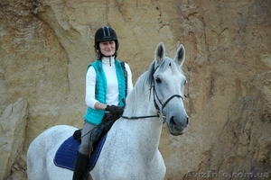 Конные прогулки Харьков,  прокат лошадей,  катание на лошадях Харьков #1643263