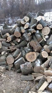 Дрова от хозяина с бесплатной доставкой,  дуб #1644335