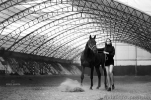 Фотосессии с лошадьми Харьков,  фото с лошадью,  фотограф Харьков #1643266