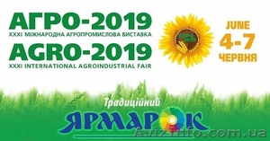 Виставка ГОРОДНИЦТВО - 2019  #1597864