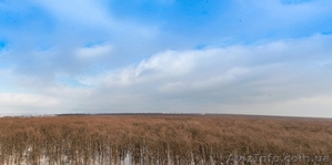 Квартира в Новострое с Панорамой на Лес. Мечта или Реальность?! #1644454