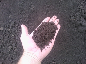  Доставка чернозема в мешках и навалом по Запорожью. #1645967