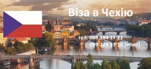 Чеська робоча 3-х місячна віза. #1648747