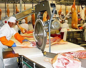 Работа в Польше на мясокомбинате разнорабочим с опытом работы #1647983