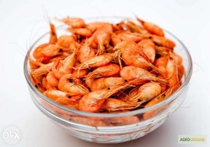 Креветка черноморская варенная, живая-сырая #1647250