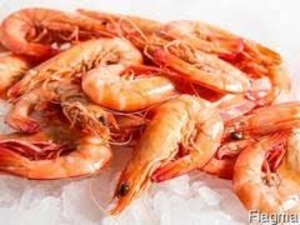 Креветка (для любителей)  #1647261