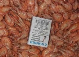 Креветка с моря на стол  #1647260