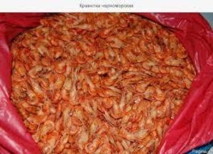 Креветка Черноморская икрянная  #1647254