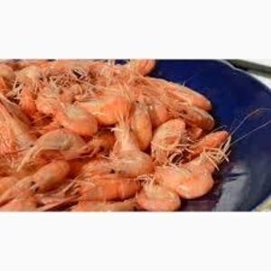 Черноморская креветка (продаю оптовым базам) #1647257