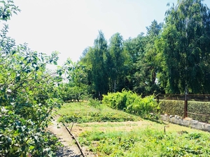 Продам Дом в Кировском ул. Некрасова.Участок 15 сот. #1646233