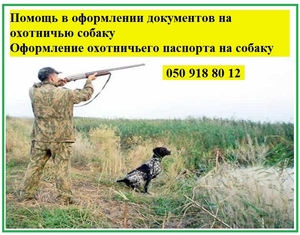 Оформлення документів на мисливського собаку Мисливський паспорт на собаку #1647584