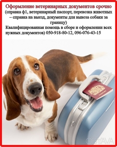 Оформлення ветеринарних та дозвільних документів для вашого улюбленця,  Харків #1647592