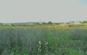 Продам участок ОСГ 12 соток в Киевской области #1650658