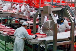 Работа в Польше. Работа на Мясокомбинате в Польше. (Киев офис) #1649452