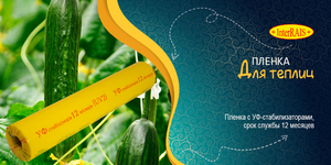 Пленка для теплиц СТ12 1500*90*100 Interrais стабилизация 12 месяцев #1510837