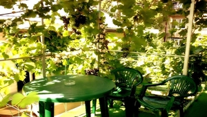 комнаты для отдыхающих #1651926