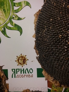 Мікродобриво Ярило Бор #1653517