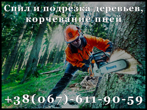 Спил и подрезка деревьев,  корчевание пней #1654134
