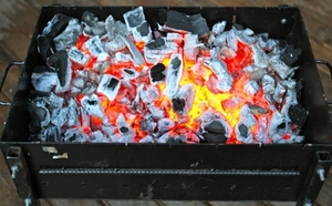 Продам Древесный Уголь в Днепре,  Камянском,  Кривом Роге #1656470