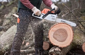 Порезка дров,  спил деревьев,  корчевание пней,  удаление кустов. Чистка #1656238