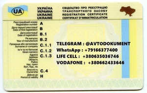Документы на авто,  техпаспорт,  водительское удостоверение Украина #1656017