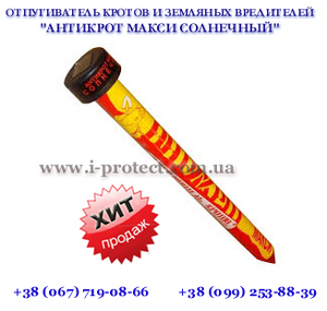 Защита от кротов на участке,  борьба с кротами #1654826