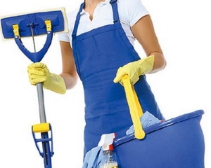 Уборщица в пансионат (Польша) #1654444