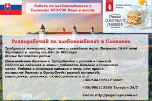 Работа на Производство булочек и багетов в Словакии 650-900 евро в месяц #1656146