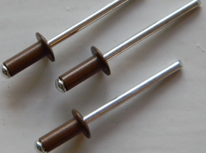 Вытяжные заклепки RAL 8003 золотисто-коричневый размер 4*10 #1658763