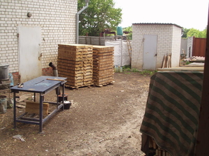 Фриза дубовая #1658848