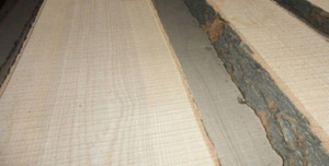 Доска необрезная ясень #1661052