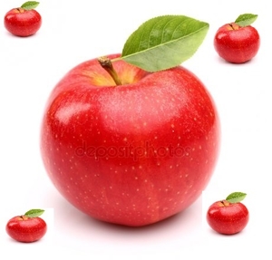 сдам в аренду яблоневый сад Днепр Чумаки #1660970