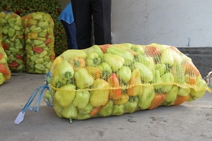 Сетка под перец,  завод-производитель #1660750