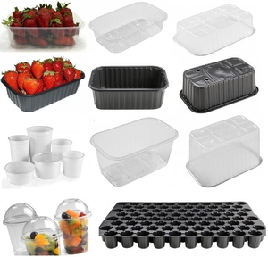 Пинетки судок лоток для ягод клубники малины черники овощей фруктов #1662051